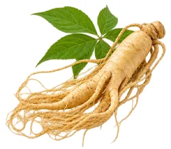 King's Secret — Ginseng root extract