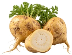 King's Secret — Maca root extract